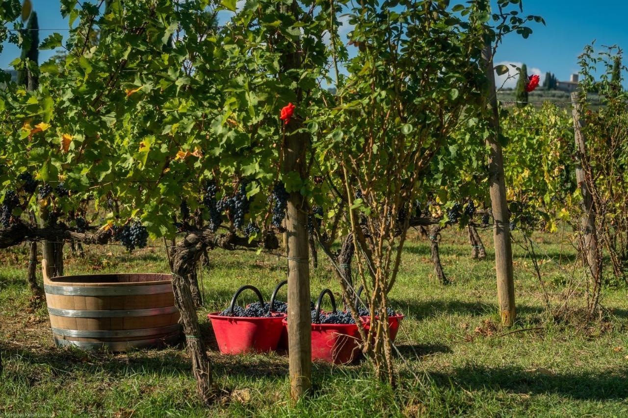 Viticcio Βίλα Greve in Chianti Εξωτερικό φωτογραφία