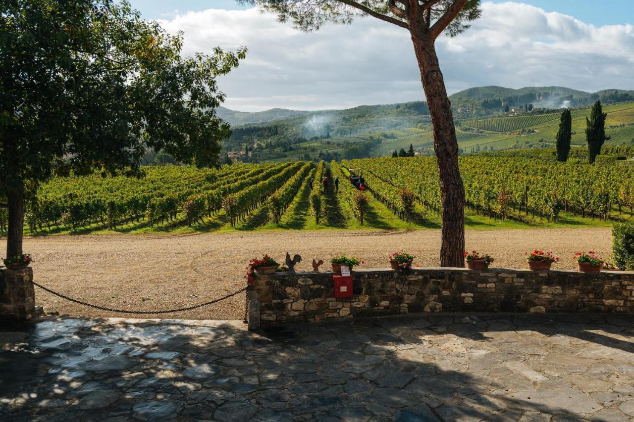 Viticcio Βίλα Greve in Chianti Εξωτερικό φωτογραφία