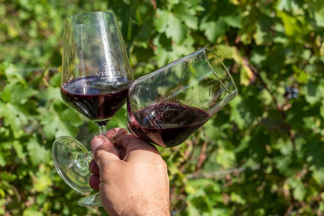 Viticcio Βίλα Greve in Chianti Εξωτερικό φωτογραφία