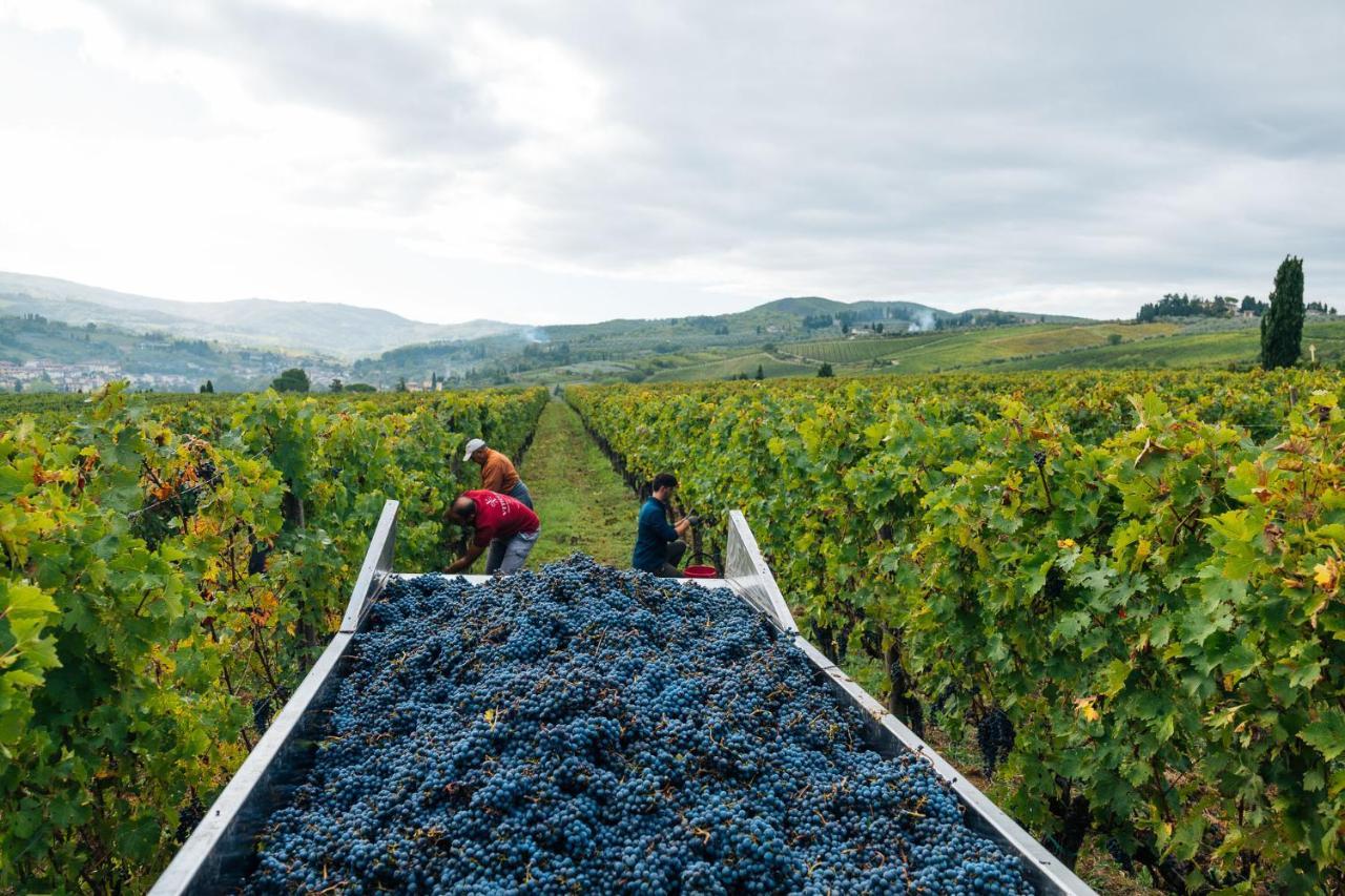 Viticcio Βίλα Greve in Chianti Εξωτερικό φωτογραφία