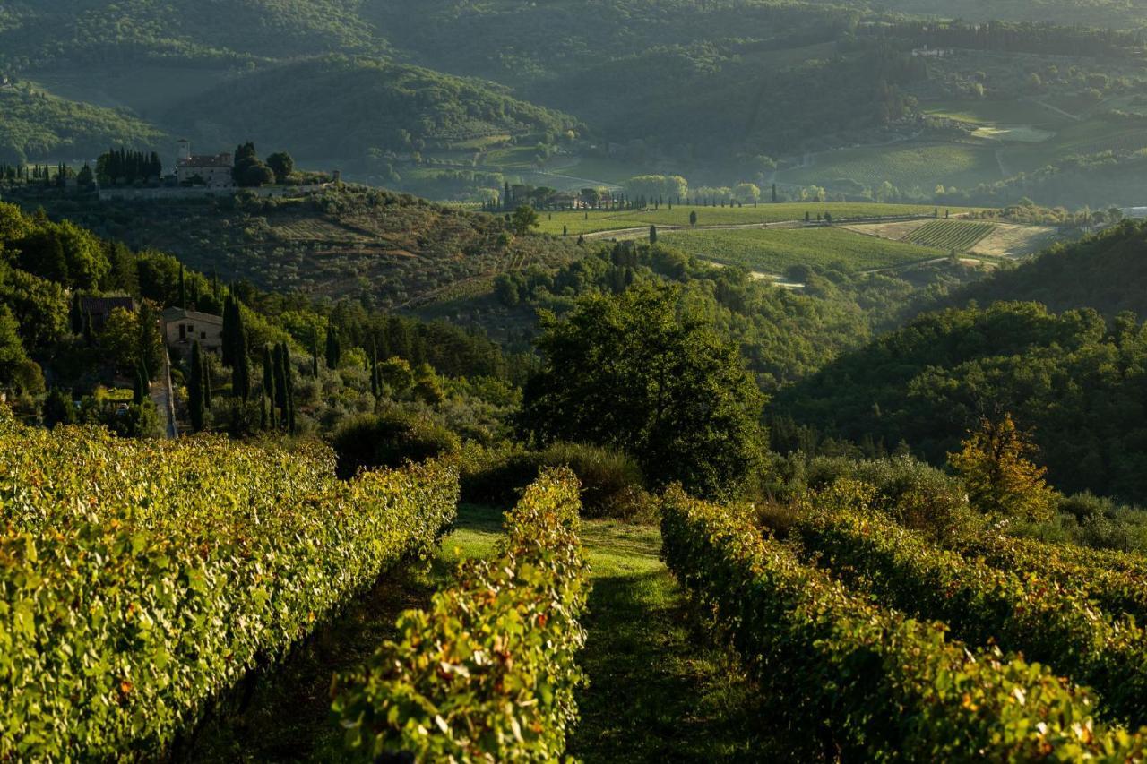 Viticcio Βίλα Greve in Chianti Εξωτερικό φωτογραφία