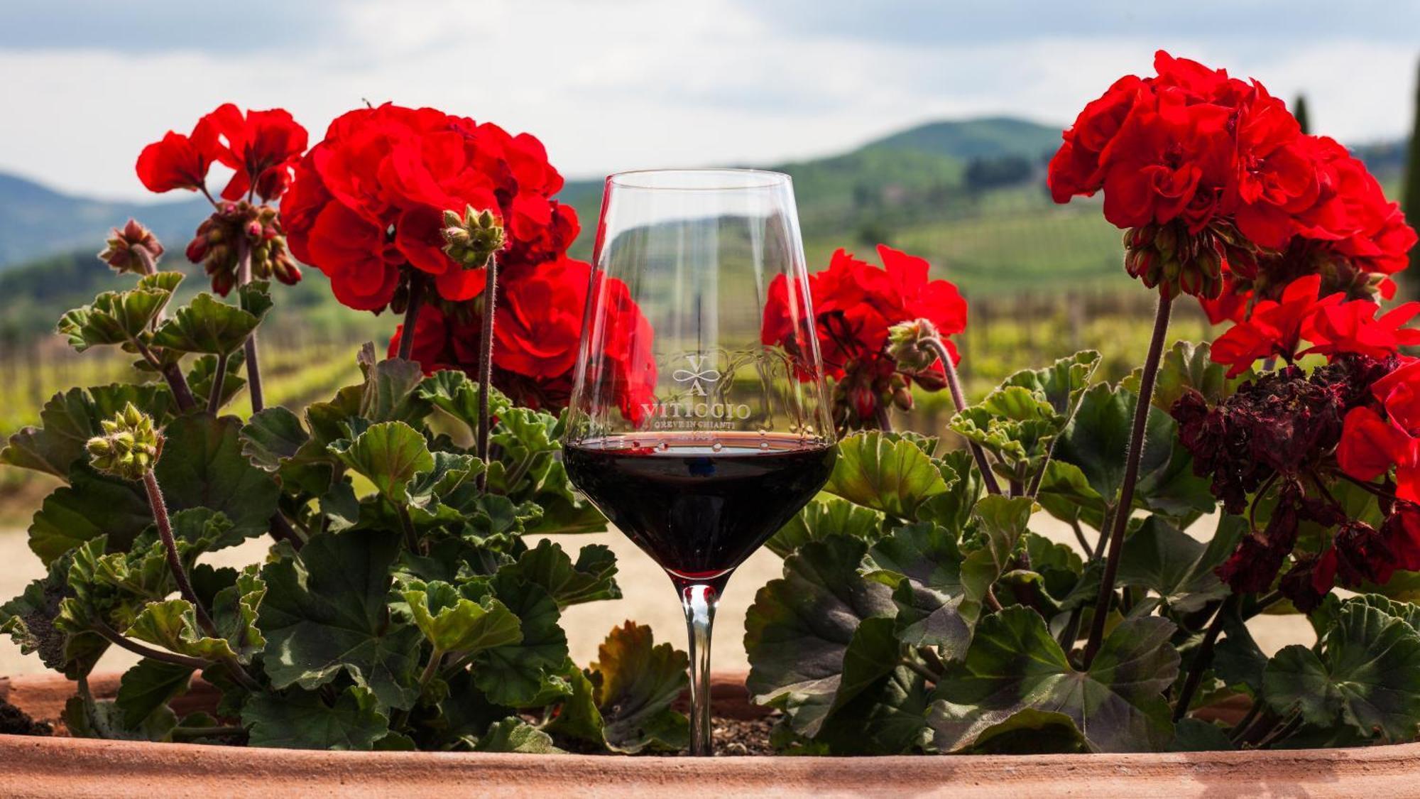 Viticcio Βίλα Greve in Chianti Εξωτερικό φωτογραφία