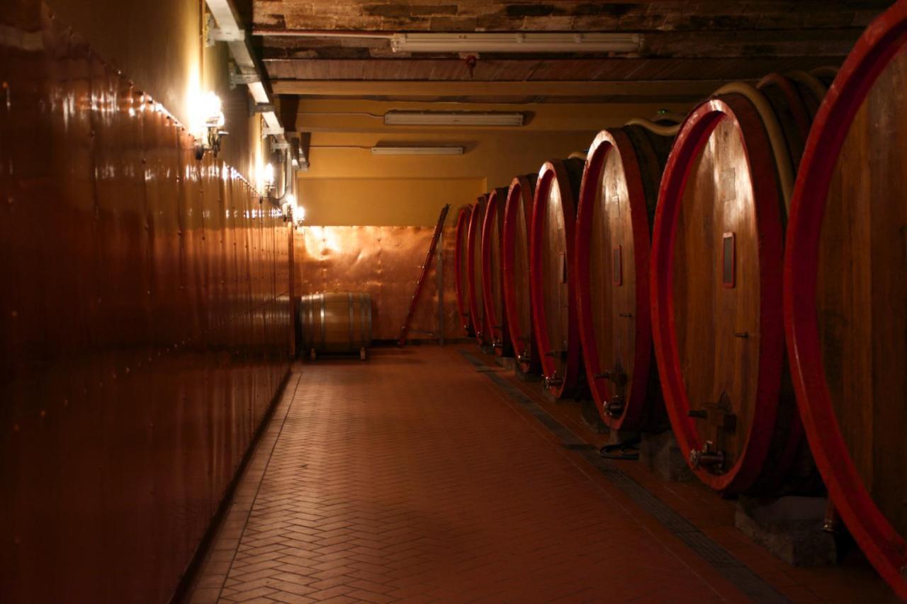 Viticcio Βίλα Greve in Chianti Εξωτερικό φωτογραφία