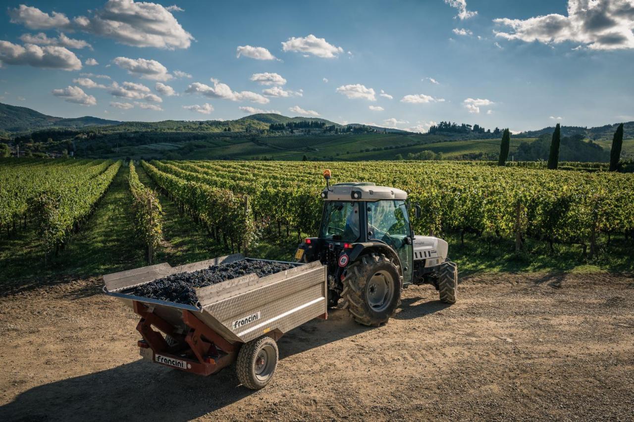 Viticcio Βίλα Greve in Chianti Εξωτερικό φωτογραφία
