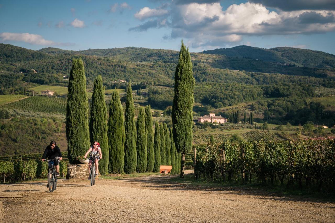 Viticcio Βίλα Greve in Chianti Εξωτερικό φωτογραφία